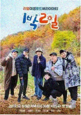 乘风破浪的姐姐 免费高清综艺