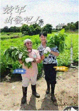 这就是街舞 免费高清综艺